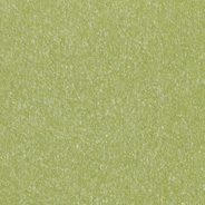 Wicked